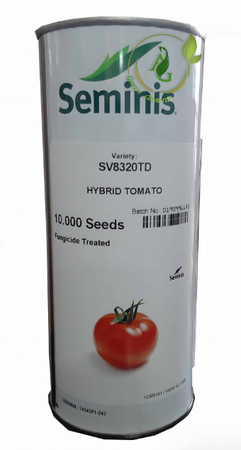 بذر گوجه فرنگی 8320 سمینیس