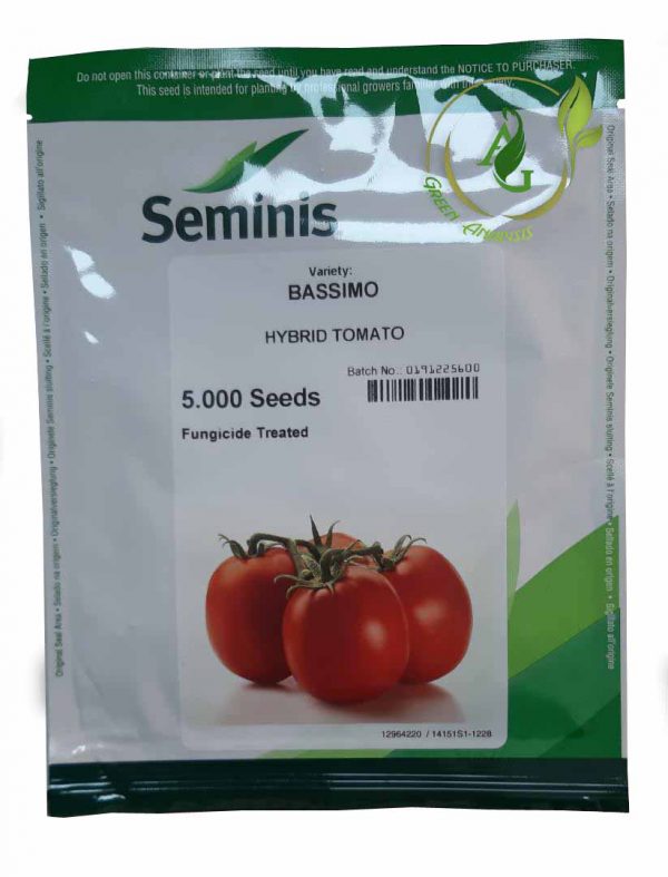 بذر گوجه فرنگی هیبرید بسیمو سمینس