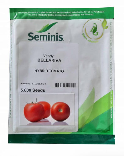 بذر گوجه فرنگی بلاریوا سمینس