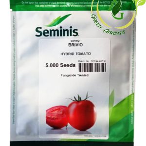 بذر گوجه فرنگی بریویو