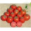 بذر گوجه فرنگی clx38122