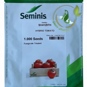بذر گوجه فرنگی هیبرید 4129 سمینس