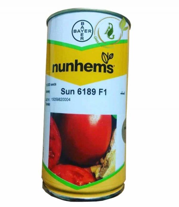 بذر گوجه فرنگی هیبرید 6189