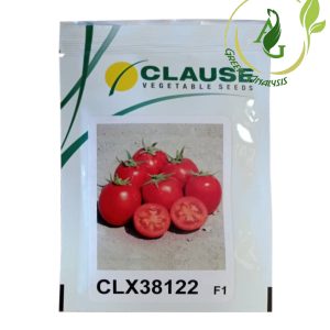 بذر گوجه فرنگی clx38122