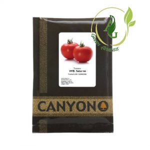 بذر گوجه فرنگی ساتورنو
