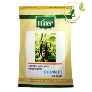 بذر خیار گلخانه ای گالاردو